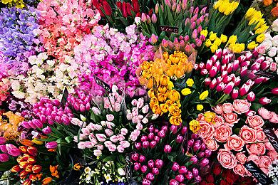 《铁拳8》封闭B测PC版提前破解 下周正式开启